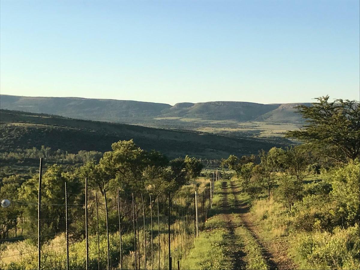 Olive Tree Farm Bed and Breakfast Magaliesburg Eksteriør billede