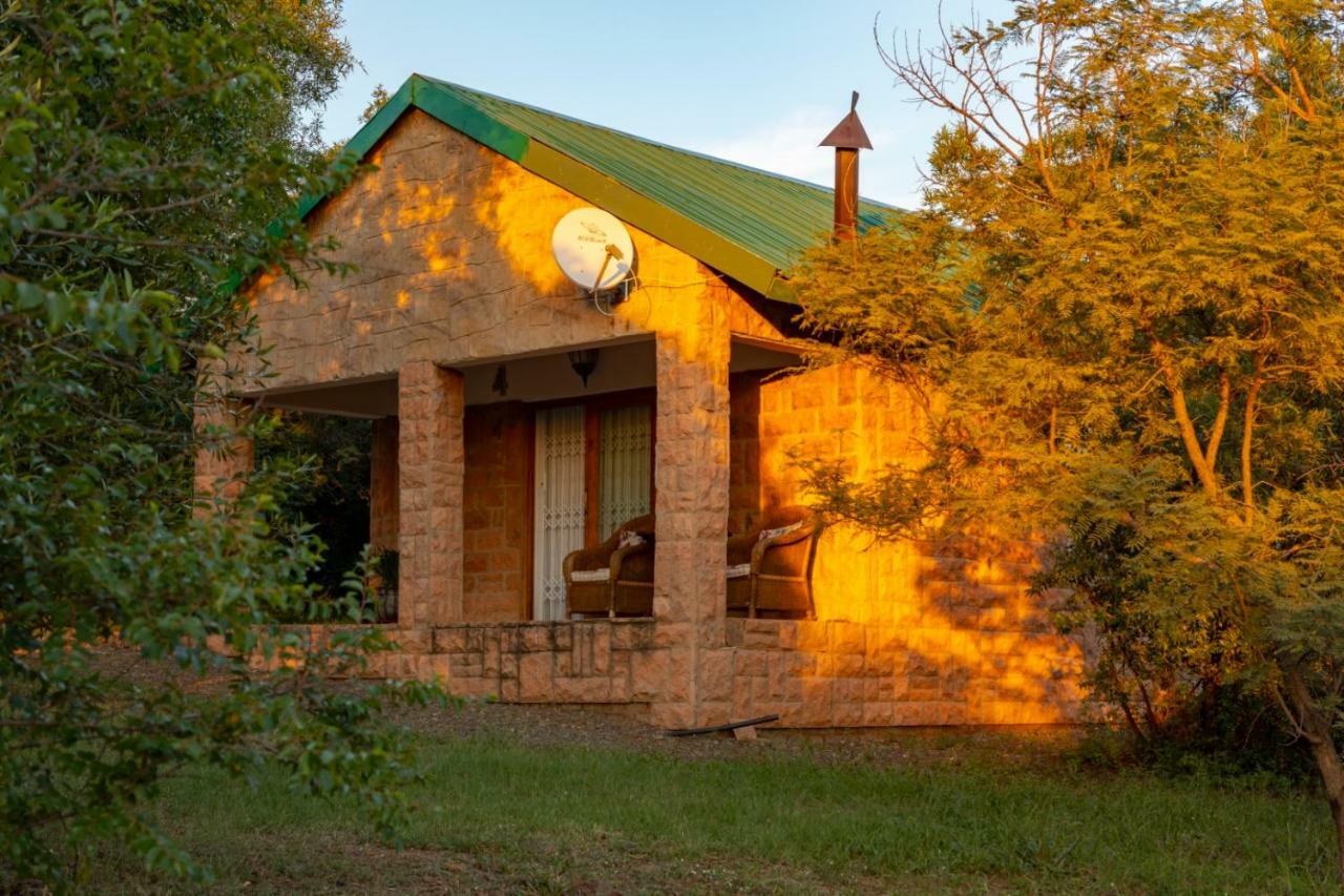 Olive Tree Farm Bed and Breakfast Magaliesburg Eksteriør billede